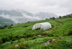 Invernaderos en Cantabria: protege tu huerto del clima verde