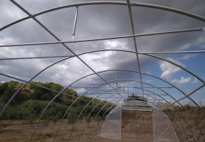 Ferro galvanizzato: la chiave di una serra duratura