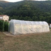 Serre in Asturias: guida pratica per coltivare tutto l'anno