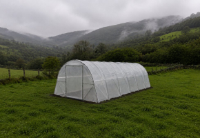 Invernaderos en Navarra: cultivar en un clima de contrastes