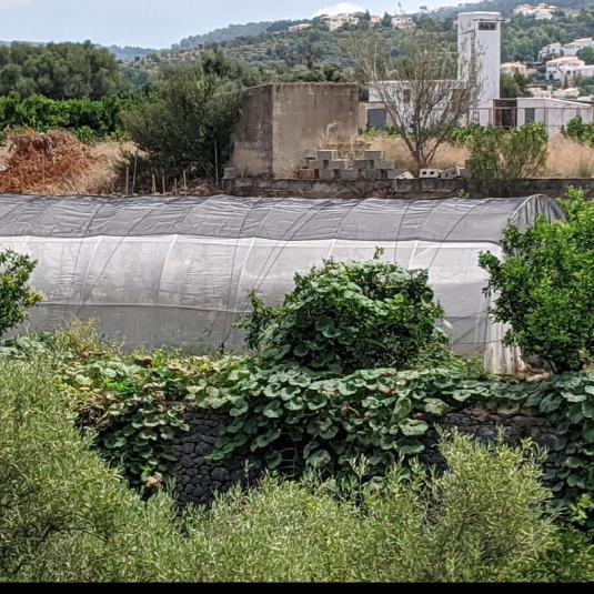 Serra grande nell'orto: più produzione e comodità