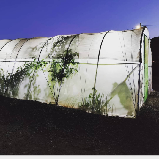Invernadero con luz: como cultivar en los dias cortos