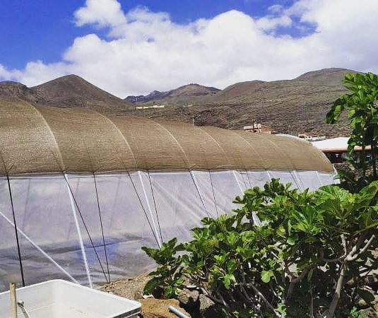 Estufa no verão: como gerir o plástico e o calor