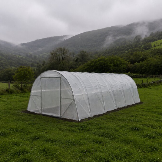 Invernaderos en Navarra: cultivar en un clima de contrastes