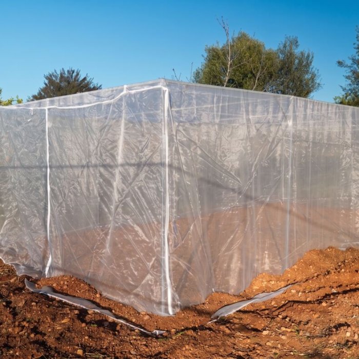 Gewächshaus mit Anti-Thrips-Netz Serie N