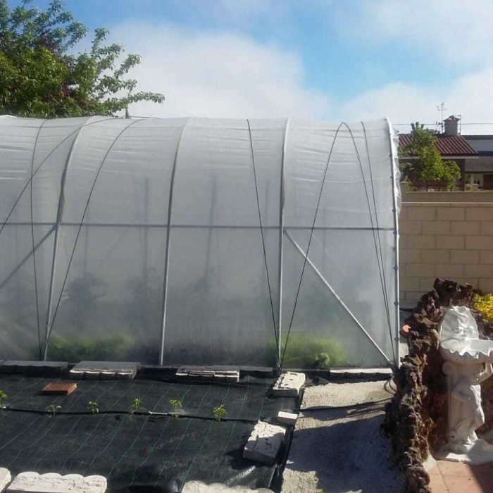 Greenhouse interior with high light transmission
