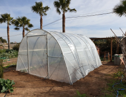  GYYN Cubierta de plástico para invernadero, cubierta de plástico  transparente de polietileno a prueba de polvo, resistente a la intemperie,  protección de jardín de invernadero (color: transparente, tamaño: 16.4 x  82.0 ft) 