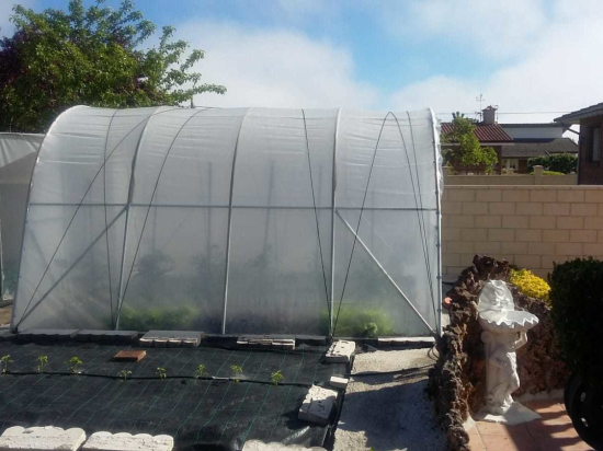 Invernadero de 4m de ancho - Modelo I
