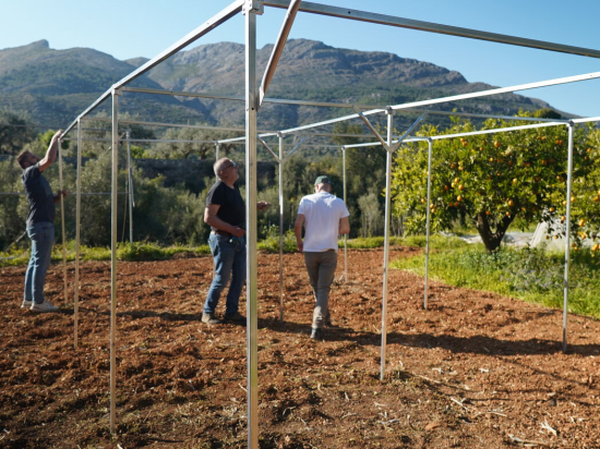Serra con rete antitripidi, 4 m , serie N