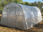 Polytunnels 3.65m wide  with windows